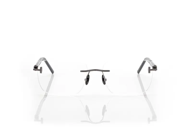 HORN AND TITANIUM RECTANGULAR OPTICALS online