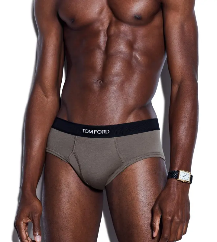 COTTON BRIEFS SLATE online